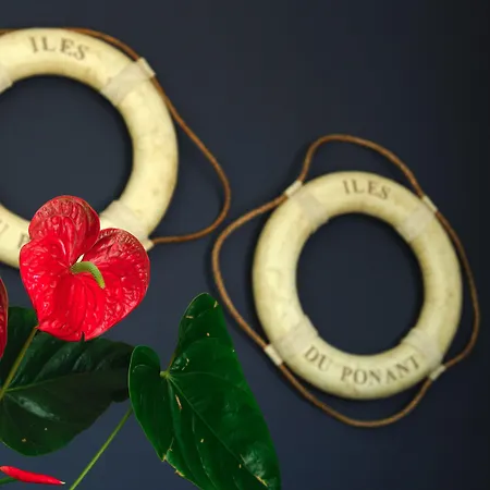 Stella Marina 3* Isola di Ustica